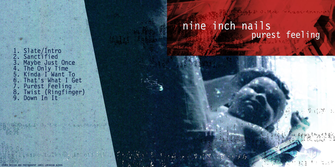 nin purest feeling