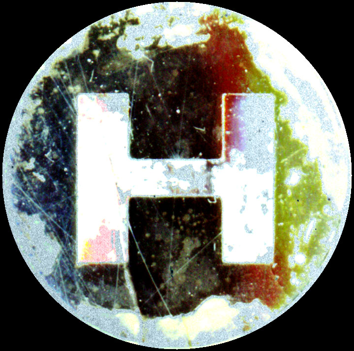 peter hammill kansas 81